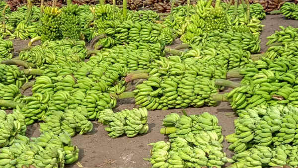 ರೈತರಿಂದ ಮಾಹಿತಿ ಪಡೆಯಿರಿ