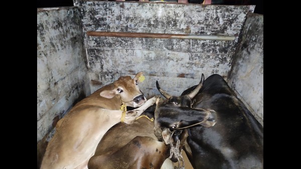 ಆಸ್ಪತ್ರೆಗೆ ದಾಖಲು