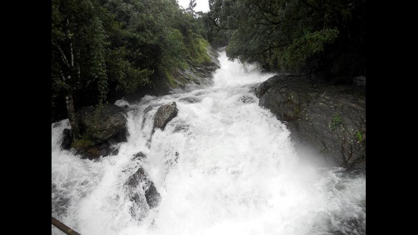 ನಡೆದು ನೋಡು ಕೊಡಗಿನ ಬೆಡಗನು...