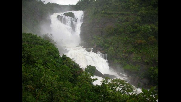 ಪಶ್ಚಿಮ ಘಟ್ಟ ಜಲಧಾರೆಗಳ ತವರು