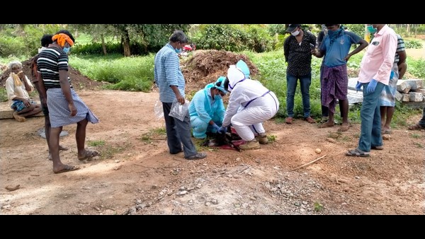 ಕುರಿಗಾಹಿಗೆ ಕಾಡಿದ್ದ ಕೋವಿಡ್