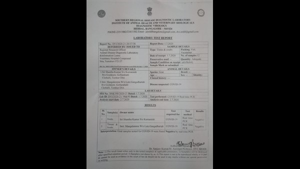 ಕುರಿಗಳ ಕೋವಿಡ್ ಟೆಸ್ಟ್ ವರದಿ
