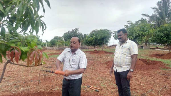 ಸವರುವಿಕೆಯ ಉಪಯೋಗಗಳು