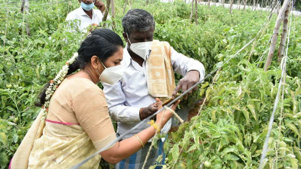 ಸಮೀಕ್ಷೆ ಆಪ್ ವಿವರ