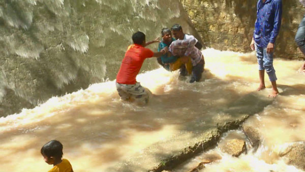 ಬರದ ನಾಡಲ್ಲಿ ಮಲೆನಾಡಿನ ಸಿರಿ