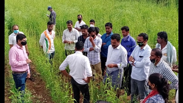 ಪರ್ಯಾಯ ಬೆಳೆಯತ್ತ ಚಿತ್ತ ಹರಿಸಿದ ರೈತ