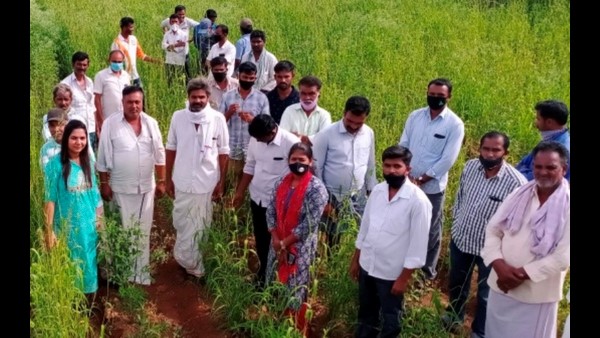 ಐಟಿಸಿಯಿಂದ ರೈತರಿಗೆ ಉಚಿತ ಬೀಜ ವಿತರಣೆ