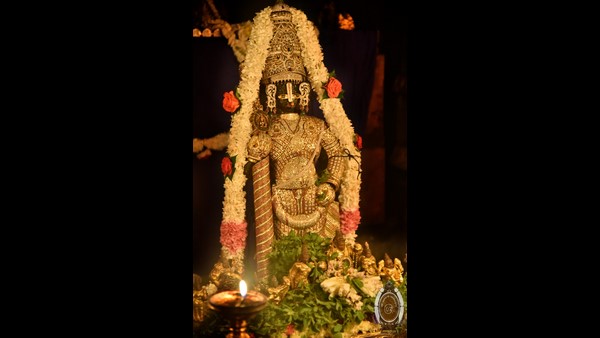 ಉದ್ಯಾವರದಲ್ಲಿರುವ ಗೋಶಾಲೆಯ ನಿರ್ವಹಣೆ