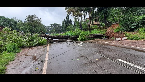 ಮನೆಯ ಮೇಲೆ ಬಿದ್ದ ಮರ