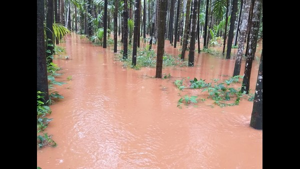 ರಸ್ತೆ ಸಂಚಾರ ಅಸ್ತವ್ಯಸ್ತ
