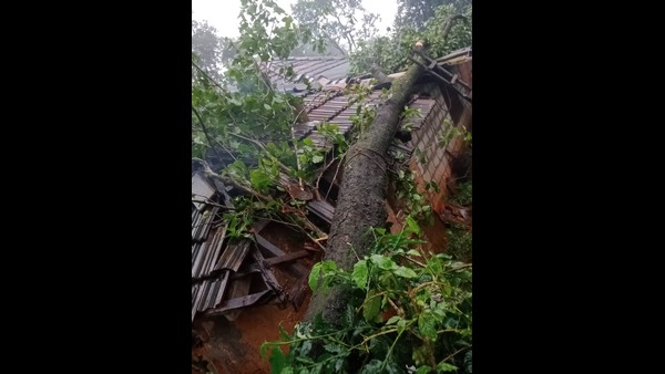 ಚಾರ್ಮಾಡಿಯಲ್ಲಿ ಬಿದ್ದ ಮರ