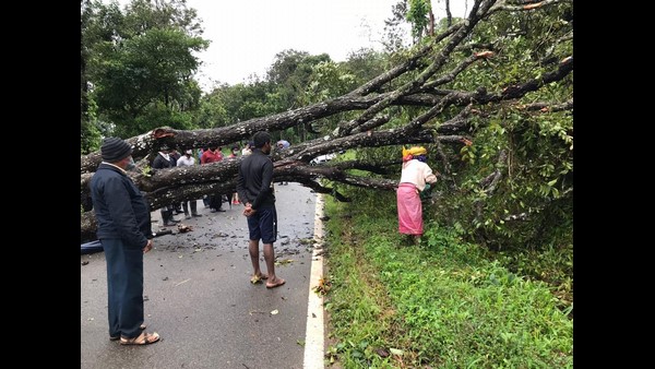 ಧಾರಾಕಾರ ಮಳೆಯೊಂದಿಗೆ ಚಳಿ ಗಾಳಿಯೂ ಇದೆ