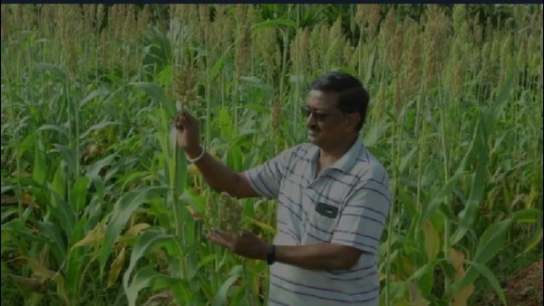 ಪ್ರಕೃತಿ ಮೇಲಂತೂ ಅಪಾರ ಪ್ರೀತಿ ಅವರಿಗಿದೆ