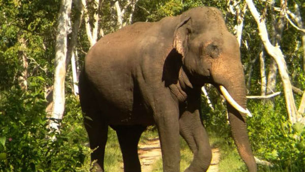 ಭೂಸ್ವಾಧೀನ ಕ್ರಮಗಳ ಕುರಿತು ಪರಿಶೀಲನೆ