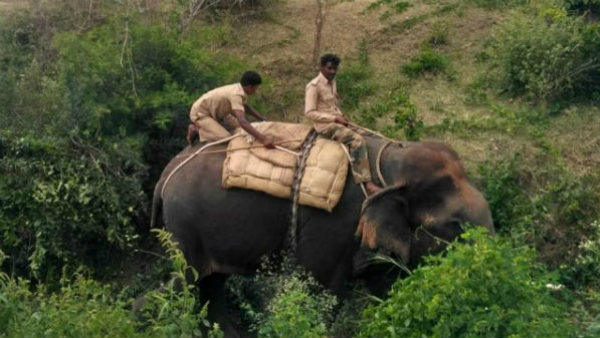 ಸಾಕಾನೆಗಳಿಂದ ಕಾರ್ಯಾಚರಣೆ