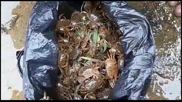 ಪ್ರತಿದಿನ ಸಾವಿರಕ್ಕೂ ಹೆಚ್ಚು ಹಣ ಗಳಿಕೆ