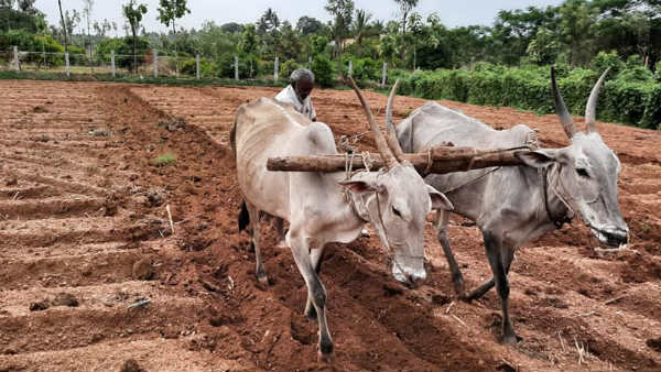 ಕೈಗಾರಿಕೆ ಸ್ಥಾಪಿಸೋಣ