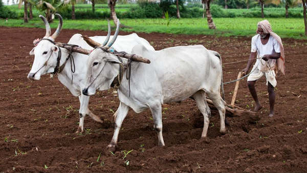 ನನ್ನಿಂದ ರೈತರಿಗೆ ಅನ್ಯಾಯವಾಗುವುದಿಲ್ಲ
