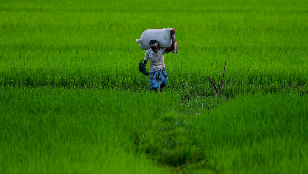 ನಾನೊಬ್ಬ ರೈತ...