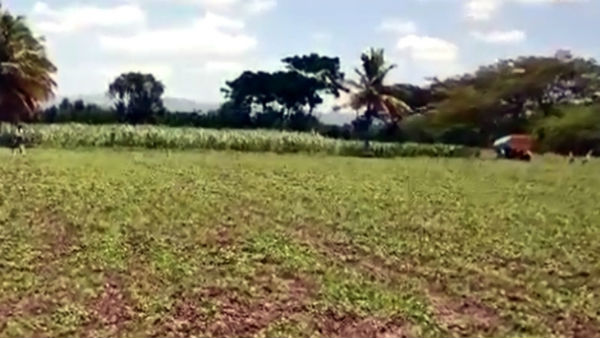 ಕೆರೆಗಳಿಗೆ ನೀರು ತುಂಬಿಸದ ಸರ್ಕಾರ