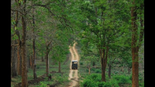 ಹೆಗ್ಗಡದೇವನಿಂದ ಬಂದ ಹೆಸರು
