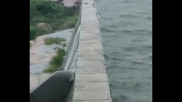 ಈ ಬಾರಿ ಉತ್ತಮ ಮಳೆಯೂ ಆಗಿದೆ
