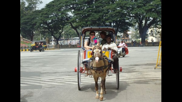 ಅರಮನೆನಗರಿಯಲ್ಲಿ ಕಾಣದ ದಸರಾ ರಂಗು