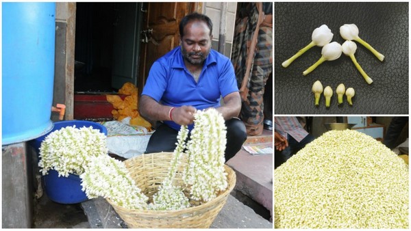 ಘಮಗುಡುವ "ಮೈಸೂರು ಮಲ್ಲಿಗೆ"ಗೆ ಫೇಮಸ್ ದೇವರಾಜ ಮಾರುಕಟ್ಟೆಯ ಈ ಮಳಿಗೆ