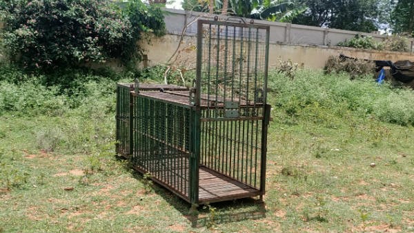 ಭಯದಲ್ಲಿಯೇ ದಿನ ಕಳೆಯುತ್ತಿರುವ ರೈತರು