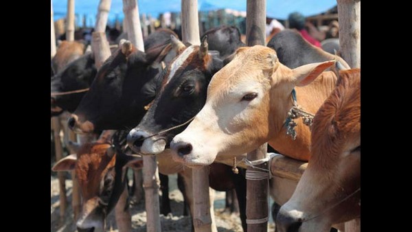 1.60 ಲಕ್ಷ ರೂಪಾಯಿವರೆಗೆ ಸುಲಭ ಸಾಲ