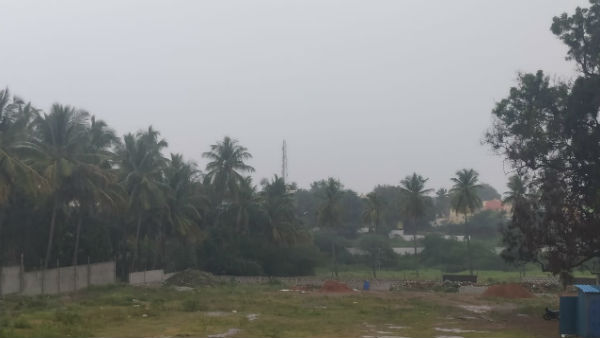 ರಾಗಿ, ಶೇಂಗಾ, ಮೆಕ್ಕೆಜೋಳ ಬೆಳೆದಿದ್ದ ರೈತರು