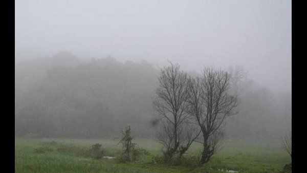 ಕಲಬುರಗಿ ಜಿಲ್ಲೆಯಲ್ಲಿ ಹೆಚ್ಚಾದ ಮಳೆ