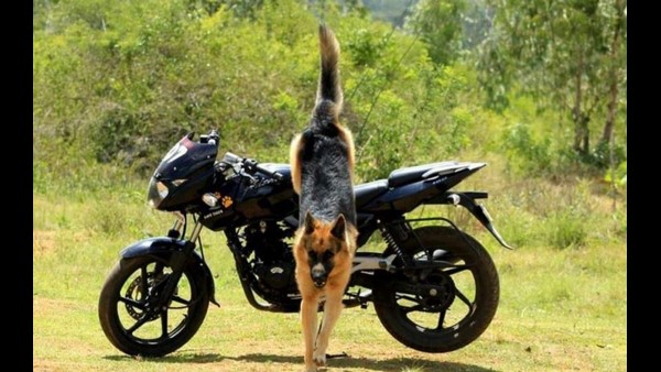 ರಾಣಾ ಈಗಲೂ ಸಮರ್ಥನೇ