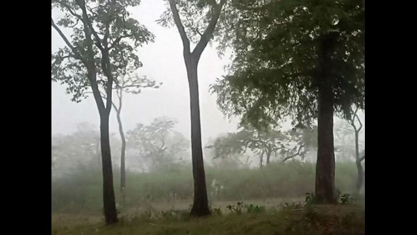 ಕಣ್ಮನ ಸೆಳೆಯುತ್ತಿರುವ ಸುಂದರ ನಿಸರ್ಗ