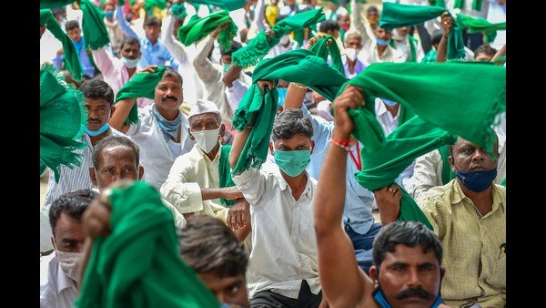 100 ಸಂಘಟನೆ ಬೆಂಬಲ