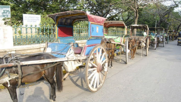ಪ್ರವಾಸಿಗರಿಲ್ಲದೆ ಟಾಂಗಾವಾಲಗಳಿಗೆ ಸಂಕಷ್ಟ
