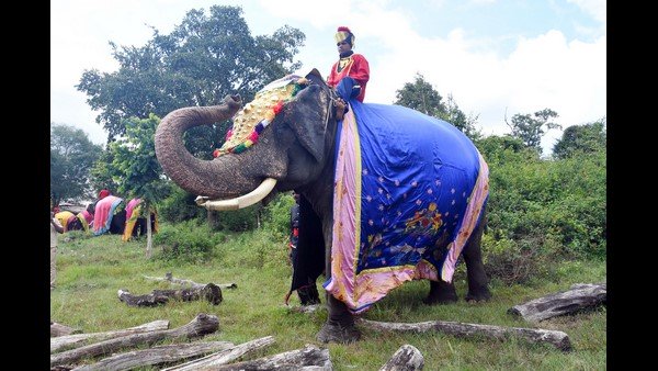 ಜಂಬೂ ಸವಾರಿ ಮುನ್ನ 21 ಸುತ್ತು ಕುಶಾಲತೋಪು