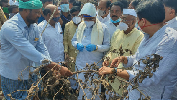 ಆರು ತಿಂಗಳುಗಳಿಂದ ಕಲಬುರಗಿಗೆ ಬಂದಿಲ್ಲ