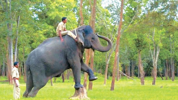 ನಮಗೆ ನಿರಾಸೆ ಉಂಟಾಗಿದೆ