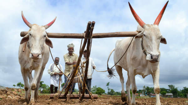 ಲಸಿಕಾ ಕಾರ್ಯಕ್ರಮ ನಡೆಯಲಿದೆ