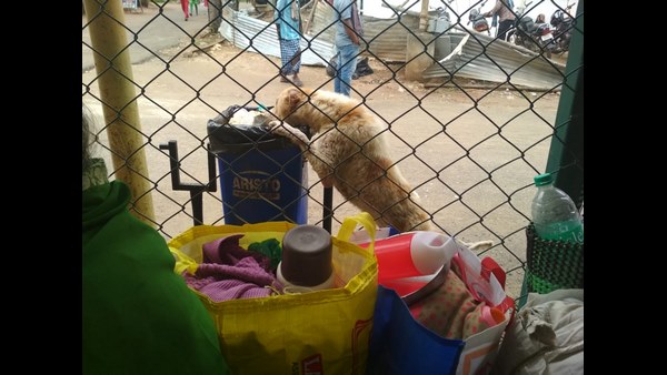 ಕ್ರಮ ಕೈಗೊಳ್ಳದ ಅಧಿಕಾರಿಗಳು