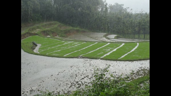 ಹೋಬಳಿವಾರು ದಾಖಲಾಗಿರುವ ಮಳೆ