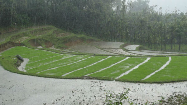 ಸಹಾಯವಾಣಿ ಕೇಂದ್ರವನ್ನು ಆರಂಭಿಸಲಾಗಿದೆ