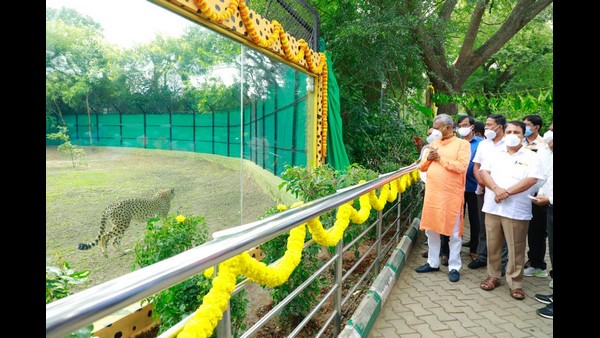 ಮುಖ್ಯಮಂತ್ರಿಗಳಿಂ ನಾಡಹಬ್ಬ ದಸರಾಕ್ಕೆ ಚಾಲನೆ