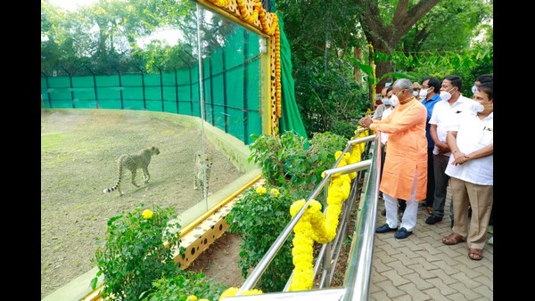 ಕೊರೊನಾ ಕಾರಣ ಸಾರ್ವಜನಿಕ ನಿರ್ಬಂಧ ಅನಿವಾರ್ಯ
