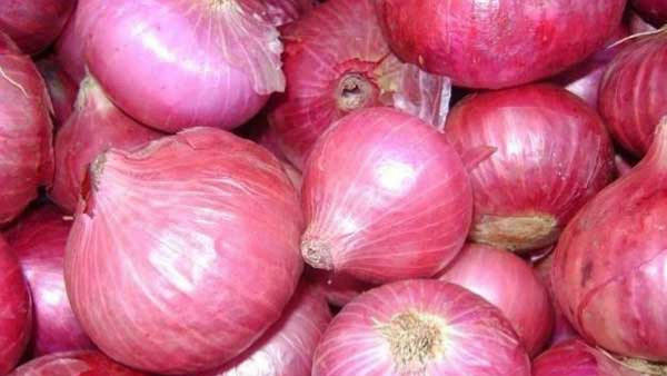 ಮಳೆಯ ಆರ್ಭಟಕ್ಕೆ ಈರುಳ್ಳಿ ಬೆಳೆ ನಾಶ