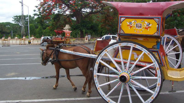 ಟಾಂಗಾದಲ್ಲಿ ಸಂಚರಿಸುವುದೇ ಪ್ರತಿಷ್ಠೆಯಾಗಿತ್ತು