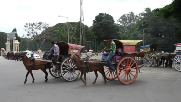 ಮೈಸೂರಿನ ಮಹಾರಾಜರ ಷಾ ಪಂಸದ್ ಟಾಂಗಾ