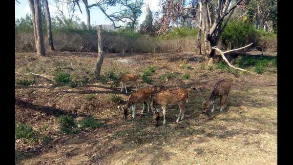 ಬೀಜಗಳನ್ನು ಬಿತ್ತುವ ಕಾರ್ಯ