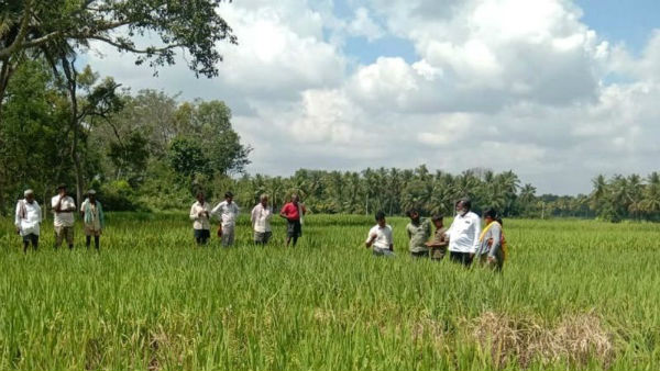 ಭತ್ತ ಮನೆ ತಲುಪಿದರೆ ಸಾಕು